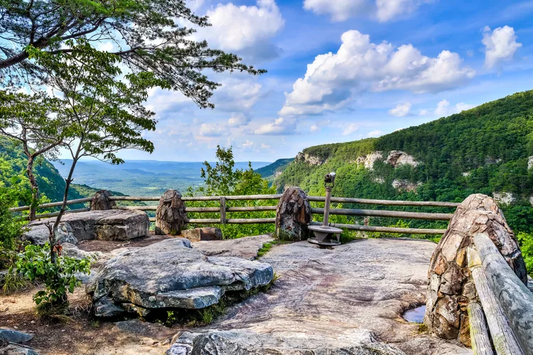 Enchanting World of Cloudland Canyon: A Tour Guide’s Delight插图