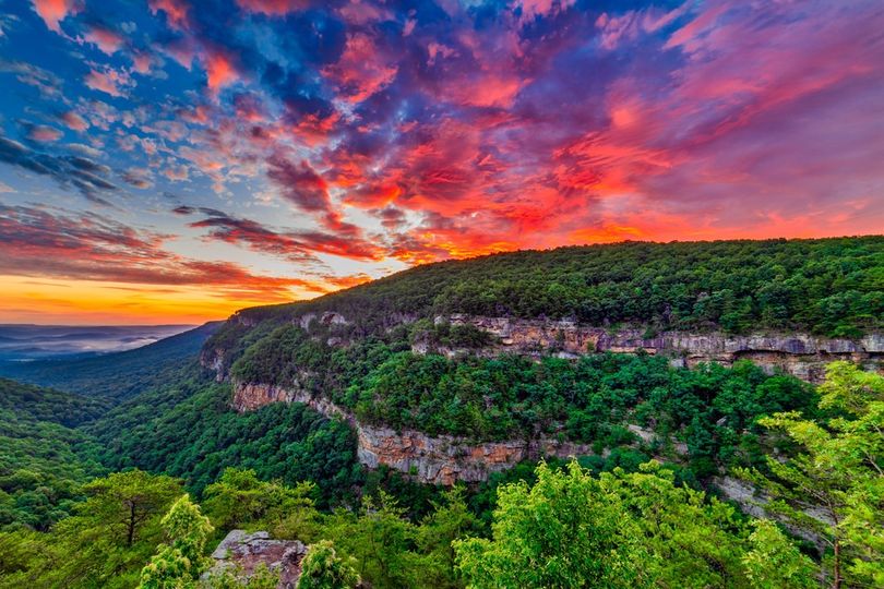 Enchanting World of Cloudland Canyon: A Tour Guide’s Delight插图2