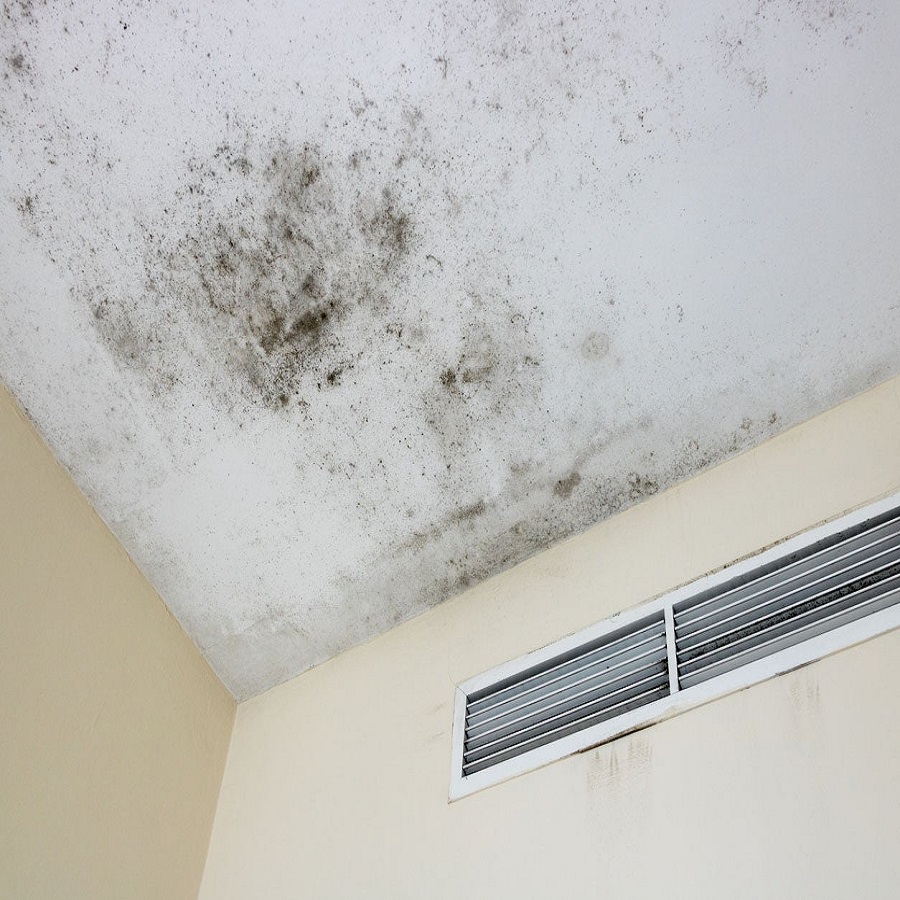 bathroom mold on ceiling