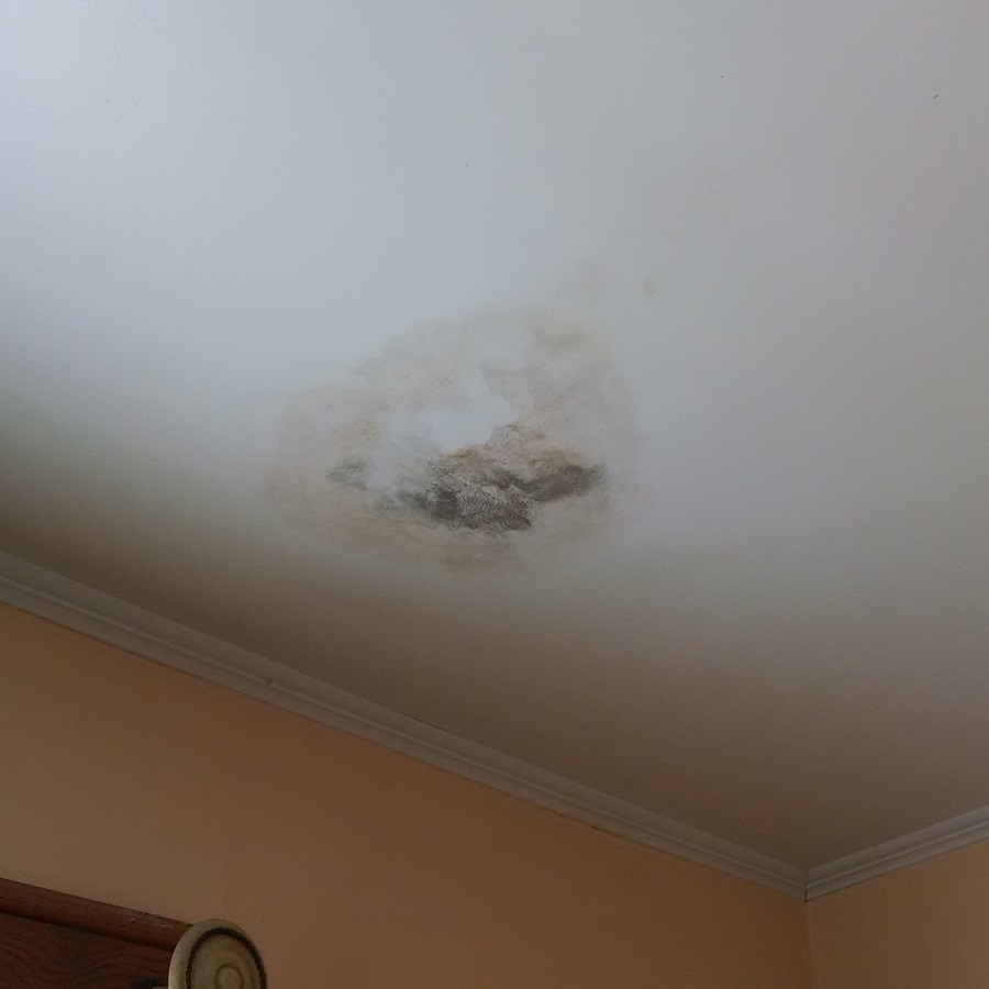 bathroom mold on ceiling