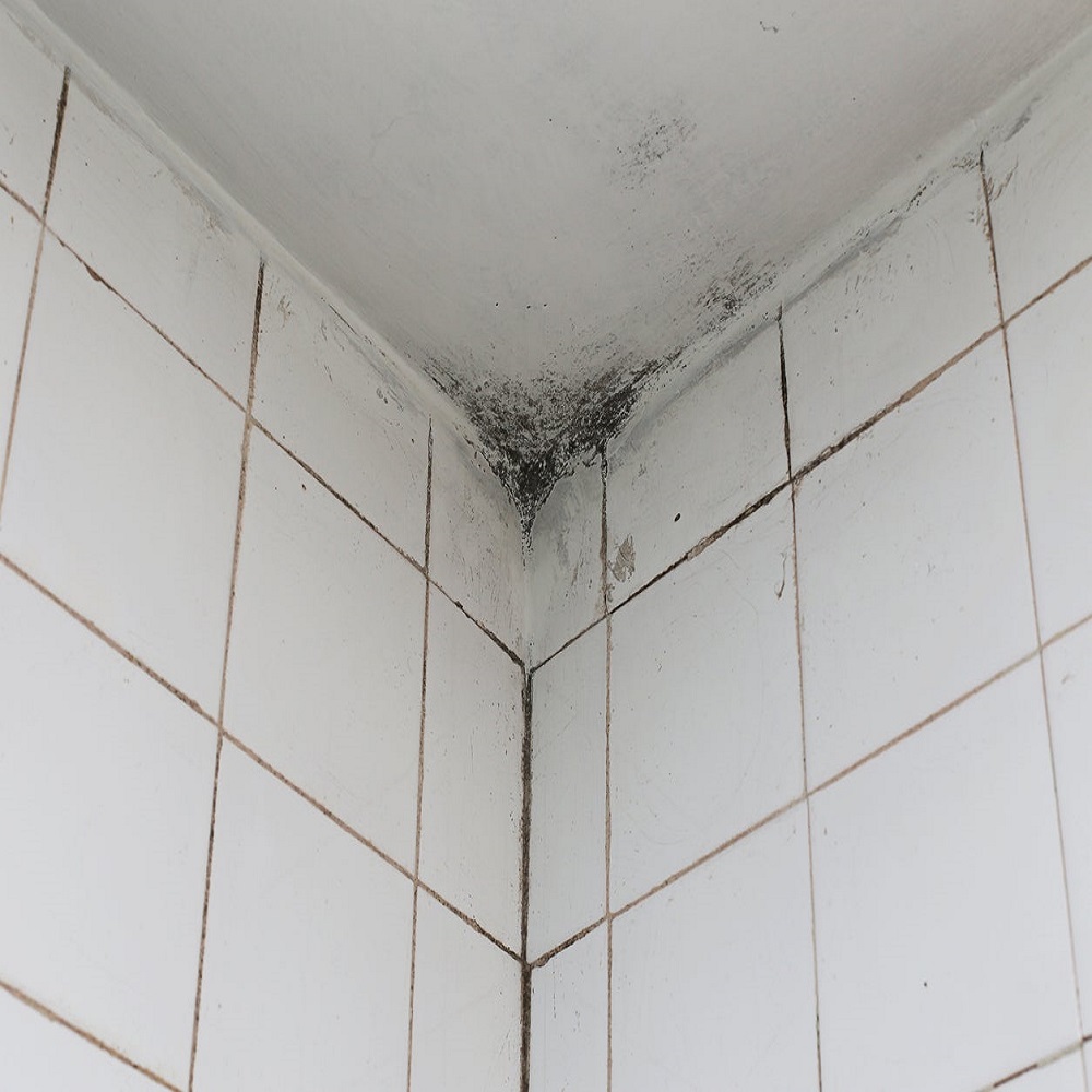 mold ceiling bathroom