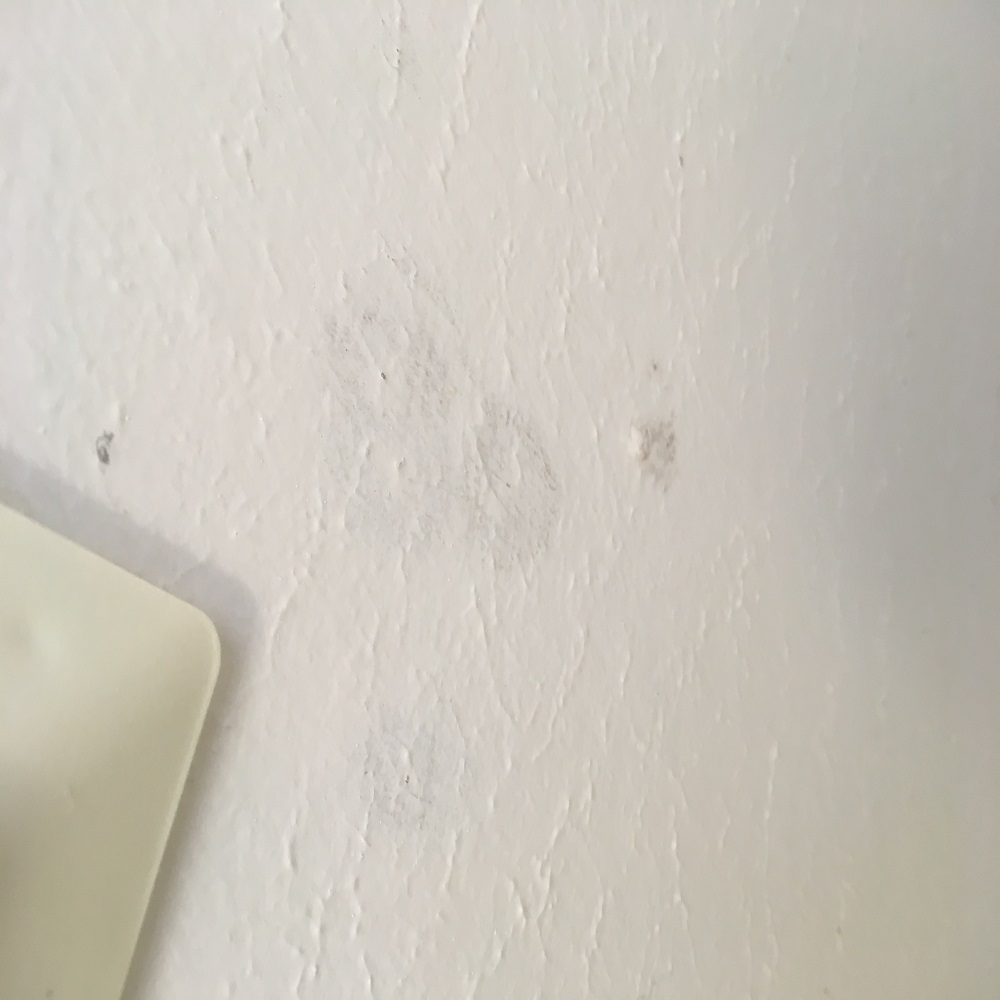 mold ceiling bathroom