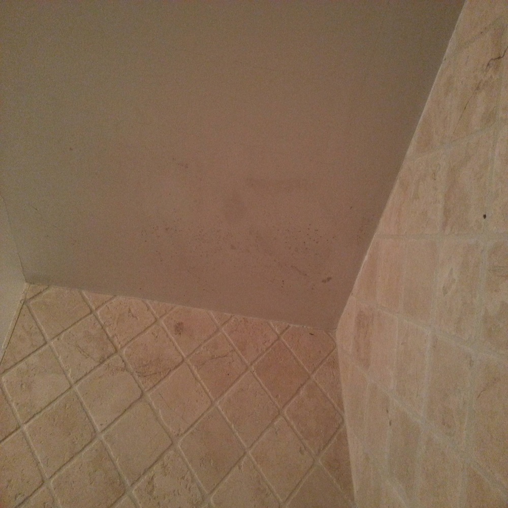 mold ceiling bathroom